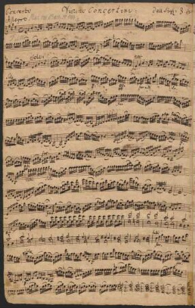 Violino concertino