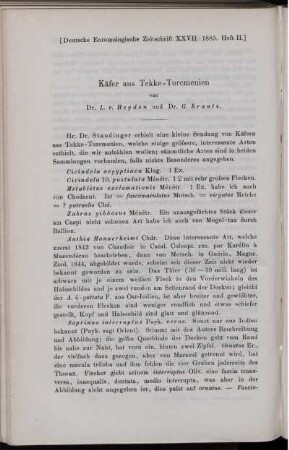 Käfer aus Tekke-Turcmenien