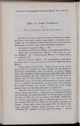 Käfer aus Tekke-Turcmenien