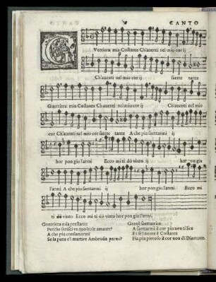 6. Guerriera mía