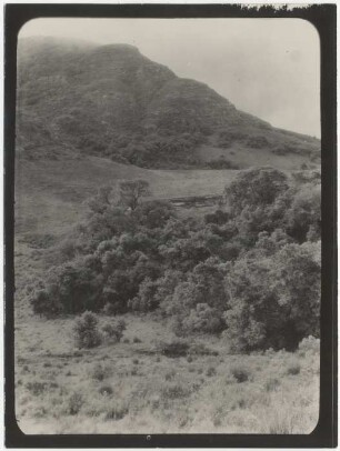 Landschaft bei Nuevo Mundo zwischen Padilla und Río Grande