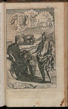 Tab. 41. Osiris, Anubis, Apis