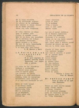 Mi poncho pampa : Para el alma de mi querida Restituta.