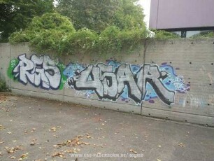RGS "USAR