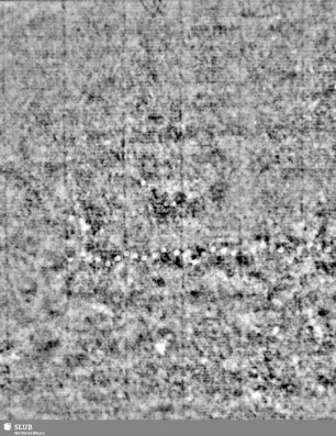 Lilienschild + IESV / LW = Bd.1, S.15/16