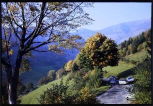 Neuenweg: farbige Laubbäume an der Straße, Hintergrund Belchen, mit Autos