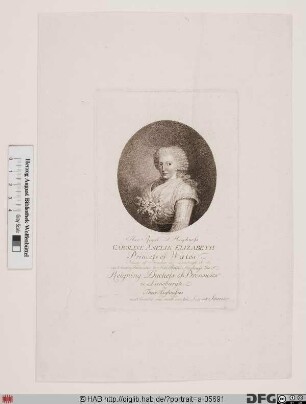 Bildnis Caroline (Amalie Elisabeth), Königin von Großbritannien, Irland u. Hannover, geb. Prinzessin von Braunschweig