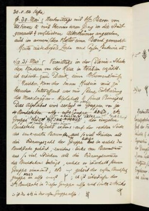 25v-27r 30.V.-31.V.1884 Jaffa, mit Skizze des Grabes von Emilie Wolff
