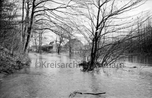 Beste: Kurpark: Hochwasser: Blick von Fußgängerbrücke: vorn Mitte Büsche im Wasser: links Böschung mit Bäumen: hinten Mitte hinter Büschen und Bäumen Gebäude auf Gelände der Papierfabrik und Am Kurpark
