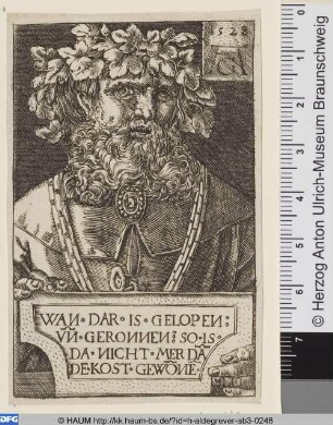 Alter Mann mit Kranz von Weinblättern