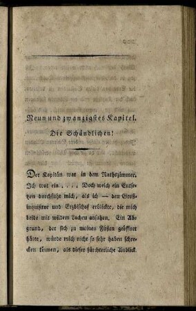 Neun und zwanzigstes Kapitel. Die Schändlichen!