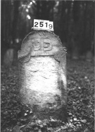 Grabstein 2519