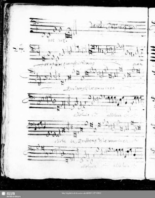 27 Iacobus Gallus: Haec est dies quam fecit Dominus