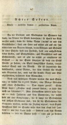 Achter Sektor