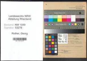 Entnazifizierung Georg Rother , geb. 19.01.1917 (Angestellter)