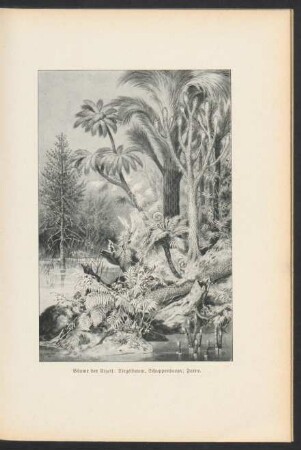 Tafel: Bäume der Urzeit [...]