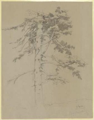 Ein Baum