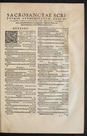 Sacrosanctae Scripturae Authoritatum, ...