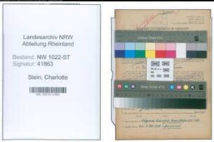 Entnazifizierung Charlotte Stein , geb. 13.07.1913 (Lehrerin)