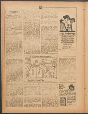 En la "Dirección General de Rabanitos" - [Ilustración]