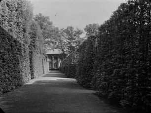 Dresden-Pillnitz. Schloss Pillnitz. Schlosspark, Heckenquartiere