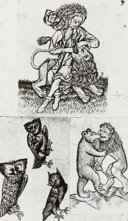 oben: Simson zerreißt den Löwen, unten links: Eule und zwei chimärische Vögel (Teilstücke der Neun einer Spielkarte) & unten rechts Bär mit Fleisch, von Löwen angegriffen (die Zwei einer Spielkarte)