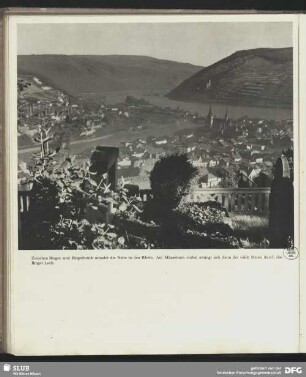 Blick auf die Nahemündung und den Mäuseturm