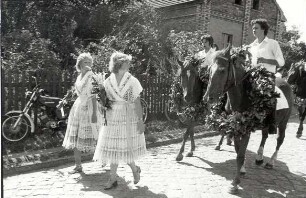 Erntebrauch in Tauer : Gesellschaftliche Volkskultur - Herbst. Ort: Turjej / Tauer. Hahnrupfen (łapanje kokota). Vgl. Lětopis C 27 (1984).