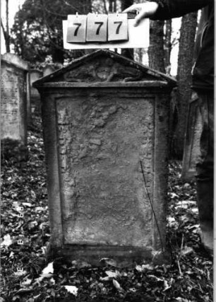 Grabstein 777 (Index: 99751558) Material: Sandstein Zustand: abgeblätt/verwitt/fast völl. Textverlust Maße HxBxT: 106x54x9 cm Beschreibung: Stele, Giebel, rechteckiges Schriftfeld eingetieft Symbolik: hockendes Löwenpaar herschauend: Grabstein 777