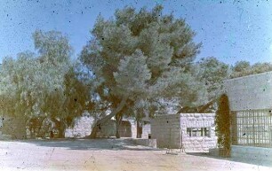 Et-Tajibe [Es-seria]