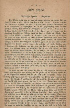 Elftes Kapitel. Malayische Sprache. - Vegetation