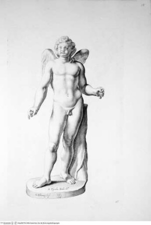 Galleria Giustiniana del marchese Vincenzo Giustiniani. 2 Bände., 1. Band, Tafel 26: Amore (nach der Antike)