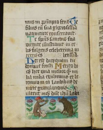 Miniatur (Bas-de-page): Der Fuchs als falscher Arzt