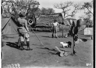 Expeditionsmitglieder bei Filmaufnahmen : Expeditionsmitglieder darunter Hans Schomburgk bei Filmaufnahmen in einer Siedlung. Die Kamera ist auf einen Hund und eine Katze gerichtet