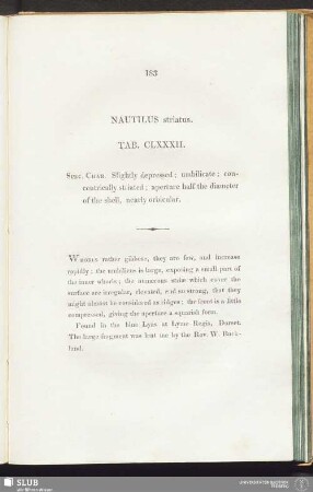 Nautilus striatus. Tab. CLXXXII