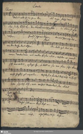 Valet will ich dir geben - Mus.2-E-604 : S, orch, bc
