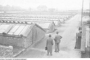 VEB Gartenbau, März 1954