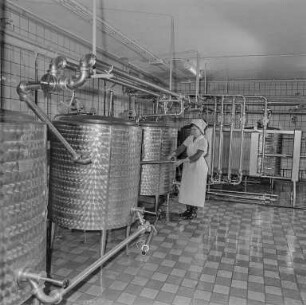 Bautzen Molkerei : Bautzen. Molkerei. Produktion