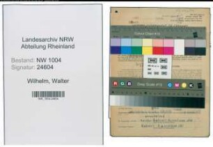 Entnazifizierung Walter Wilhelm , geb. 28.09.1891 (Schiffer)