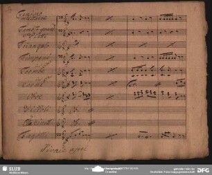 Vivace assai