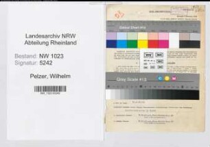 Entnazifizierung Wilhelm Pelzer , geb. 05.12.1906 (Staedt.Angestellter)