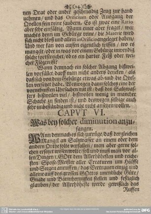 CAPUT VI. Was bey solcher diminution anzufangen.