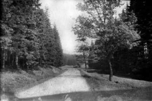 Landschaft im Haselbachtal