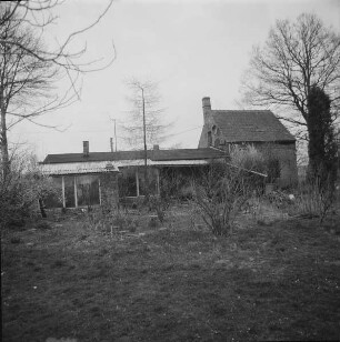 Kausche