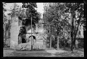 Schloss Frankenstein. Ruine