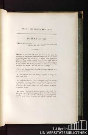 Traité des arbres fruitiers. Poire d'agobert. Pyrus maculosa, fructu magno, ovato, subrotundo, luteo, maculis punctisque fulvis notato, autumnali.
