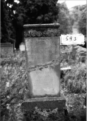 Grabstein 593 (Index: 100099845) Maße HxBxT: 135x45x16 cm Symbolik: Rosenzweig: Grabstein 593