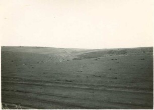 Steppe südlich von Malcoci
