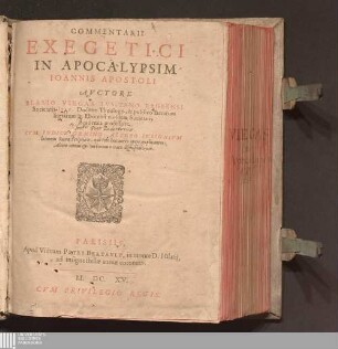 Commentarii Exegetici In Apocalypsim Ioannis Apostoli