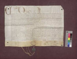 Papst Clemens VIII. ernennt Johann Heinrich von Ostein zum Domherrn zu Basel und ermächtigt ihn zum Bezug der Pfründe.
